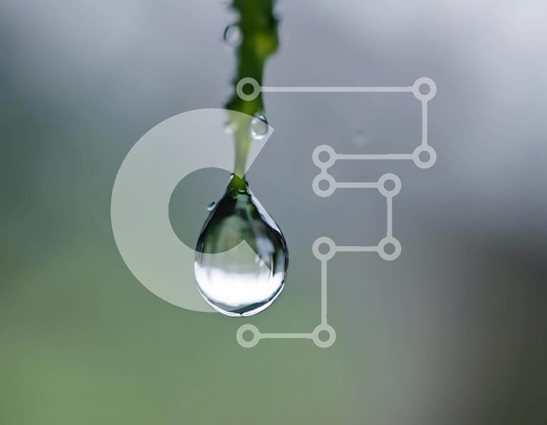 Intra Συλλεκτικό Ξύλινο Παζλ Plywood  4mm - Σταγόνα νερού στο στέλεχος του φυτού Σε Ξύλινο Κουτί - Διαστάσεις: 10x10 cm – 25 κομμάτια