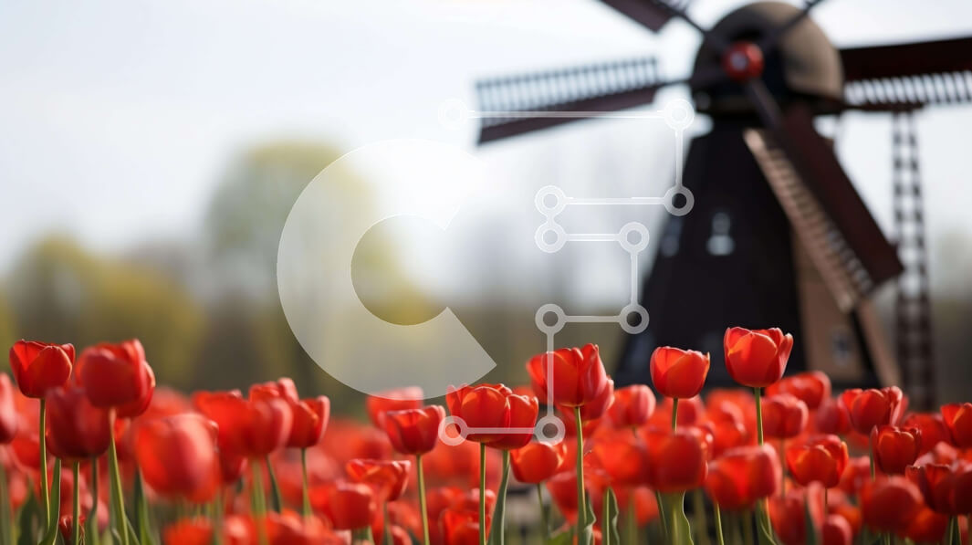 Intra Συλλεκτικό Ξύλινο Παζλ Plywood  4mm - Πεδίο με κόκκινες τουλίπες και παλιό ανεμόμυλο Σε Ξύλινο Κουτί - Διαστάσεις: 10x10 cm – 25 κομμάτια