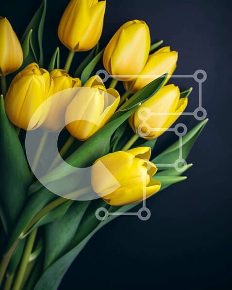 Intra Συλλεκτικό Ξύλινο Παζλ Plywood  4mm - Ζωντανές κίτρινες τουλίπες σε βάζο σε μαύρο φόντο Σε Ξύλινο Κουτί - Διαστάσεις: 10x10 cm – 25 κομμάτια