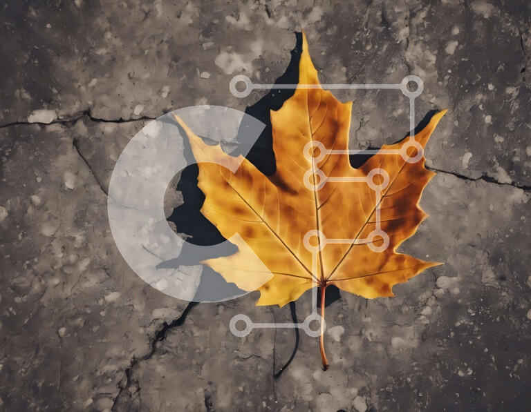 Intra Συλλεκτικό Ξύλινο Παζλ Plywood  4mm - Φθινοπωρινό φύλλο σφενδάμου σε σκυρόδεμα Σε Ξύλινο Κουτί - Διαστάσεις: 10x10 cm – 25 κομμάτια