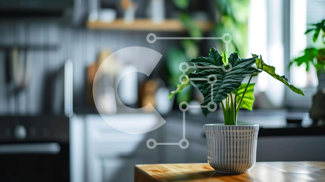 Intra Συλλεκτικό Ξύλινο Παζλ Plywood  4mm - Λευκό φυτό σε γλάστρα σε ξύλινο τραπέζι στην κουζίνα Σε Ξύλινο Κουτί - Διαστάσεις Puzzle: 10x10 cm – 25 κομμάτια