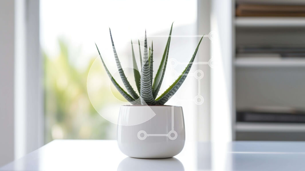 Intra Συλλεκτικό Ξύλινο Παζλ Plywood  4mm - Λευκό φυτό Aloe Vera σε γλάστρα στο τραπέζι Σε Ξύλινο Κουτί - Διαστάσεις Puzzle: 10x10 cm – 25 κομμάτια