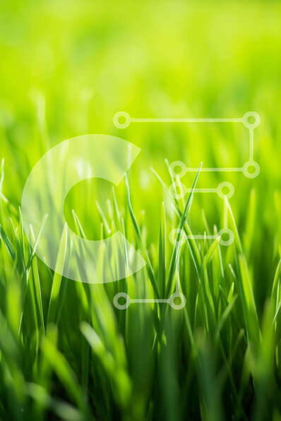 Σετ των 2 Intra Συλλεκτικό Ξύλινο Παζλ Plywood  4mm - Κοντινό πλάνο του γηπέδου πράσινου χόρτου Σε Ξύλινο Κουτί - Διαστάσεις: 10x10 cm – 25 κομμάτια