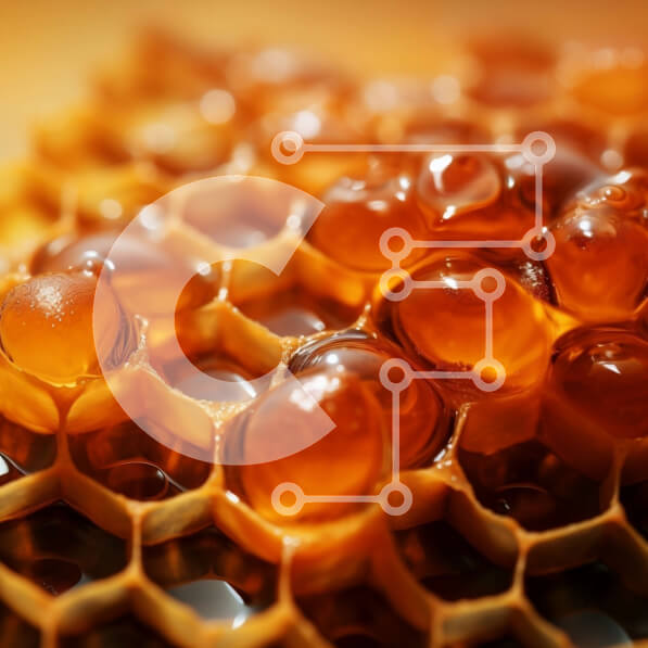 Intra Συλλεκτικό Ξύλινο Παζλ Plywood  4mm - Γκρο πλαν άποψη της κηρήθρας με μέλι Σε Ξύλινο Κουτί - Διαστάσεις: 10x10 cm – 25 κομμάτια