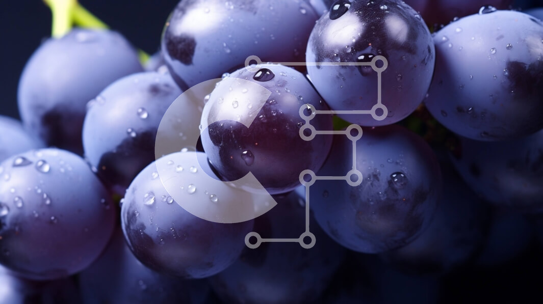 Σετ των 2 Intra Συλλεκτικό Ξύλινο Παζλ Plywood  4mm - Πλούσια και ζουμερά μοβ σταφύλια που κρέμονται από ένα κλήμα Σε Ξύλινο Κουτί - Διαστάσεις: 10x10 cm – 25 κομμάτια