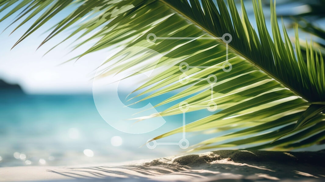 Intra Συλλεκτικό Ξύλινο Παζλ Plywood  4mm - Φύλλο φοίνικα στην παραλία με νερό στο βάθος Σε Ξύλινο Κουτί - Διαστάσεις: 10x10 cm – 25 κομμάτια