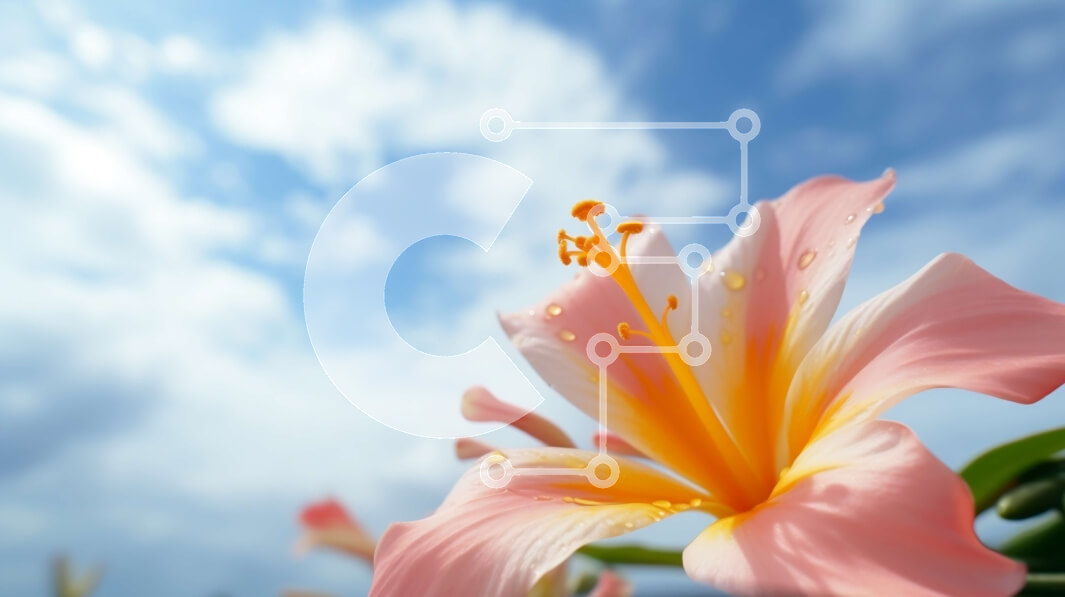 Intra Συλλεκτικό Ξύλινο Παζλ Plywood  4mm - Ροζ λουλούδι με μπλε ουρανό και σύννεφα Σε Ξύλινο Κουτί - Διαστάσεις: 10x10 cm – 25 κομμάτια