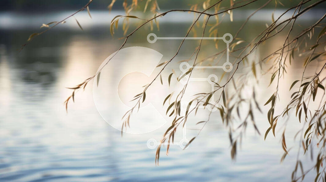 Intra Συλλεκτικό Ξύλινο Παζλ Plywood  4mm - Σιλουέτα κλαδιών ιτιάς πάνω από το νερό Σε Ξύλινο Κουτί - Διαστάσεις: 10x10 cm – 25 κομμάτια