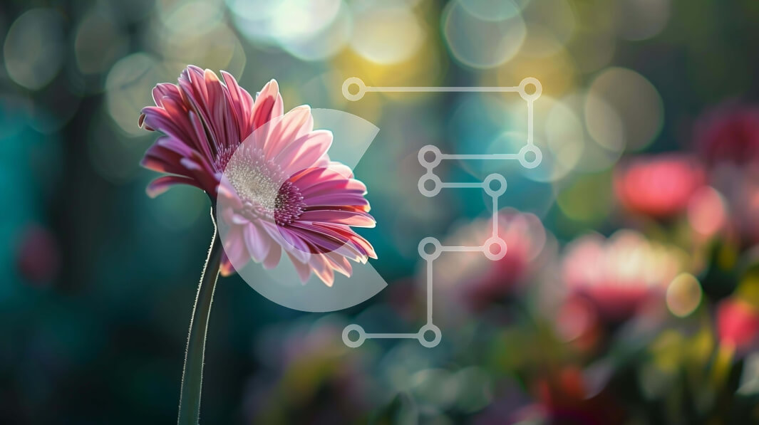 Intra Συλλεκτικό Ξύλινο Παζλ Plywood  4mm - Μονό ροζ λουλούδι σε ένα χωράφι με λουλούδια Σε Ξύλινο Κουτί - Διαστάσεις: 10x10 cm – 25 κομμάτια