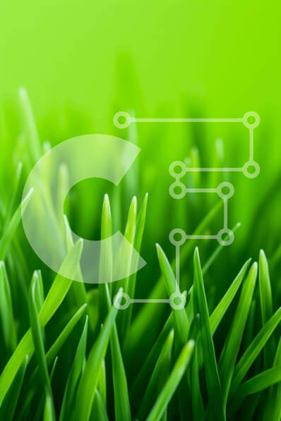 Σετ των 2 Intra Συλλεκτικό Ξύλινο Παζλ Plywood  4mm - Κοντινό πλάνο της φρεσκοκομμένης πράσινης χλόης Σε Ξύλινο Κουτί - Διαστάσεις: 10x10 cm – 25 κομμάτια