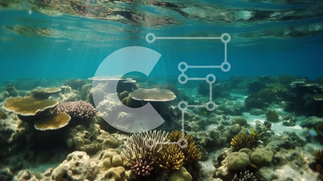 Intra Συλλεκτικό Ξύλινο Παζλ Plywood  4mm - Όμορφη εικόνα ενός κοραλλιογενούς υφάλου με μια ποικιλία από κοράλλια και ψάρια Σε Ξύλινο Κουτί - Διαστάσεις: 10x10 cm – 25 κομμάτια