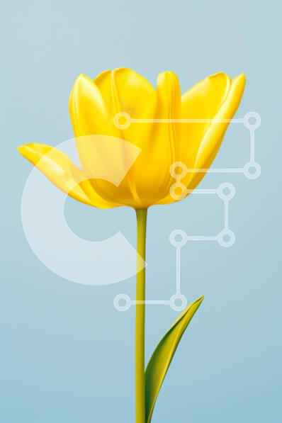 Σετ των 2 Intra Συλλεκτικό Ξύλινο Παζλ Plywood  4mm - Ενιαίο κίτρινο λουλούδι τουλίπας σε αφηρημένο μπλε φόντο Σε Ξύλινο Κουτί - Διαστάσεις: 10x10 cm – 25 κομμάτια