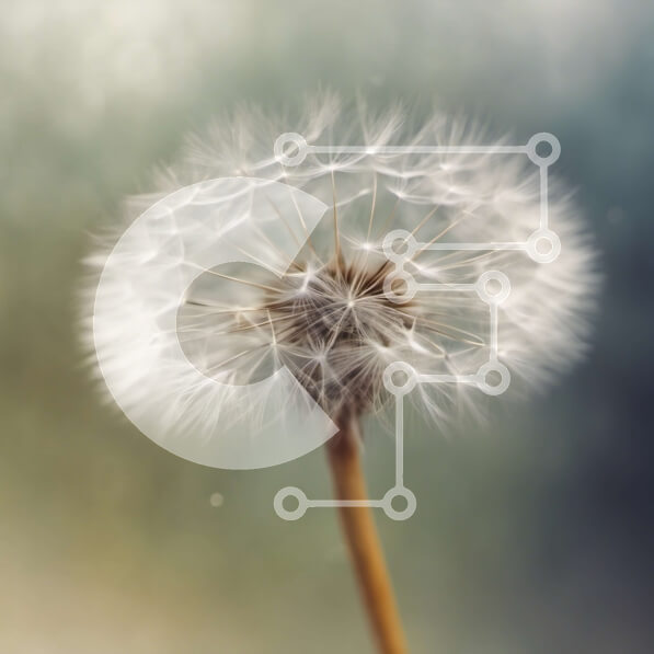 Intra Συλλεκτικό Ξύλινο Παζλ Plywood  4mm - Πικραλίδα με σπόρους που φυσούν Σε Ξύλινο Κουτί - Διαστάσεις: 10x10 cm – 25 κομμάτια