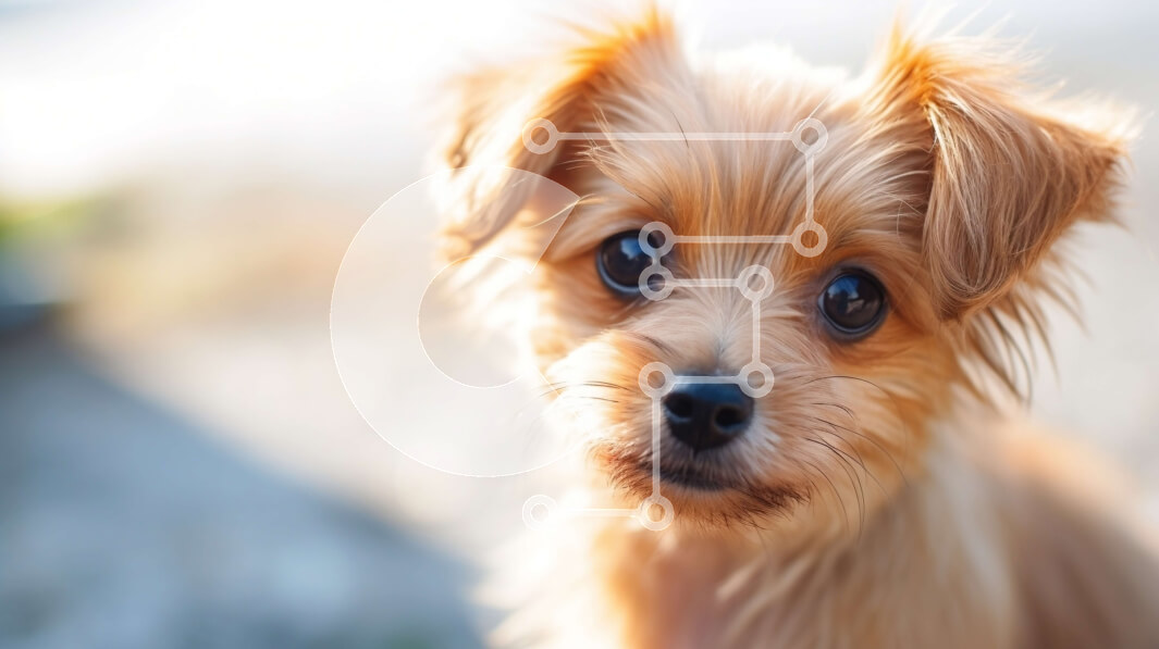 Intra Συλλεκτικό Ξύλινο Παζλ Plywood  4mm - Αξιολάτρευτο καφέ σκυλί με χνουδωτό τρίχωμα και περίεργη έκφραση Σε Ξύλινο Κουτί - Διαστάσεις: 10x10 cm – 25 κομμάτια