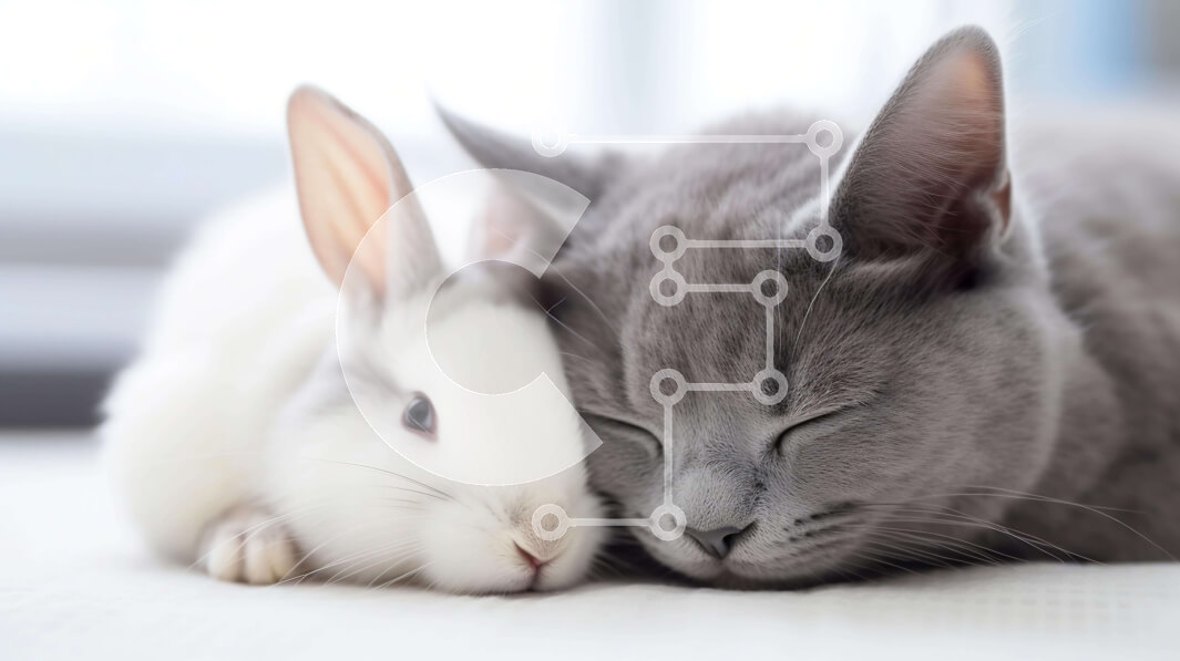 Σετ των 2 Intra Συλλεκτικό Ξύλινο Παζλ Plywood  4mm - Γάτα και κουνέλι που αγκαλιάζονται μαζί σε ένα κρεβάτι Σε Ξύλινο Κουτί - Διαστάσεις: 10x10 cm – 25 κομμάτια