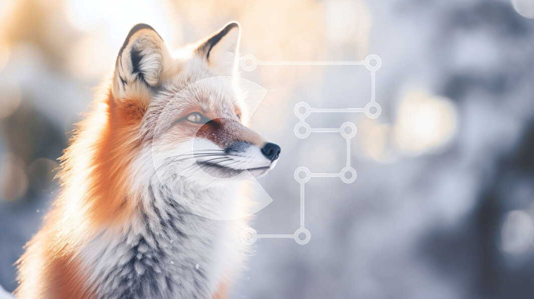 Intra Συλλεκτικό Ξύλινο Παζλ Plywood  4mm - Περίεργη κόκκινη αλεπού στο χιόνι Σε Ξύλινο Κουτί - Διαστάσεις: 10x10 cm – 25 κομμάτια