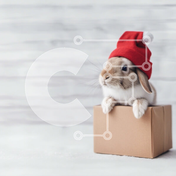 Intra Συλλεκτικό Ξύλινο Παζλ Plywood  4mm - Χαριτωμένο κουνέλι λαγουδάκι με καπέλο Άγιου Βασίλη σε χάρτινο κουτί Σε Ξύλινο Κουτί - Διαστάσεις: 10x10 cm – 25 κομμάτια