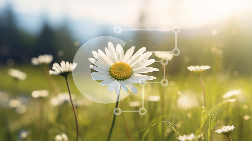 Intra Συλλεκτικό Ξύλινο Παζλ Plywood  4mm - Λευκή Μαργαρίτα στο ανοιχτό λιβάδι με δέντρα και βουνά Σε Ξύλινο Κουτί - Διαστάσεις: 10x10 cm – 25 κομμάτια