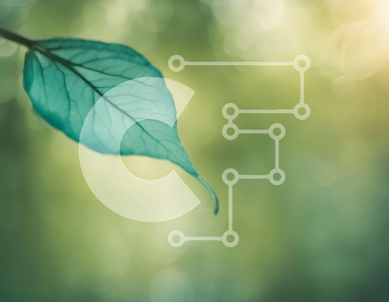 Intra Συλλεκτικό Ξύλινο Παζλ Plywood  4mm - Πράσινο φύλλο που κρέμεται από κλαδί με θολό πράσινο φόντο Σε Ξύλινο Κουτί - Διαστάσεις: 10x10 cm – 25 κομμάτια