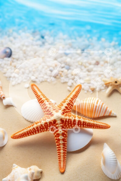 Σετ των 2 Intra Συλλεκτικό Ξύλινο Παζλ Plywood  4mm - Παραλία σκηνή με αστερίες, κοχύλια και άμμο Σε Ξύλινο Κουτί - Διαστάσεις: 10x10 cm – 25 κομμάτια