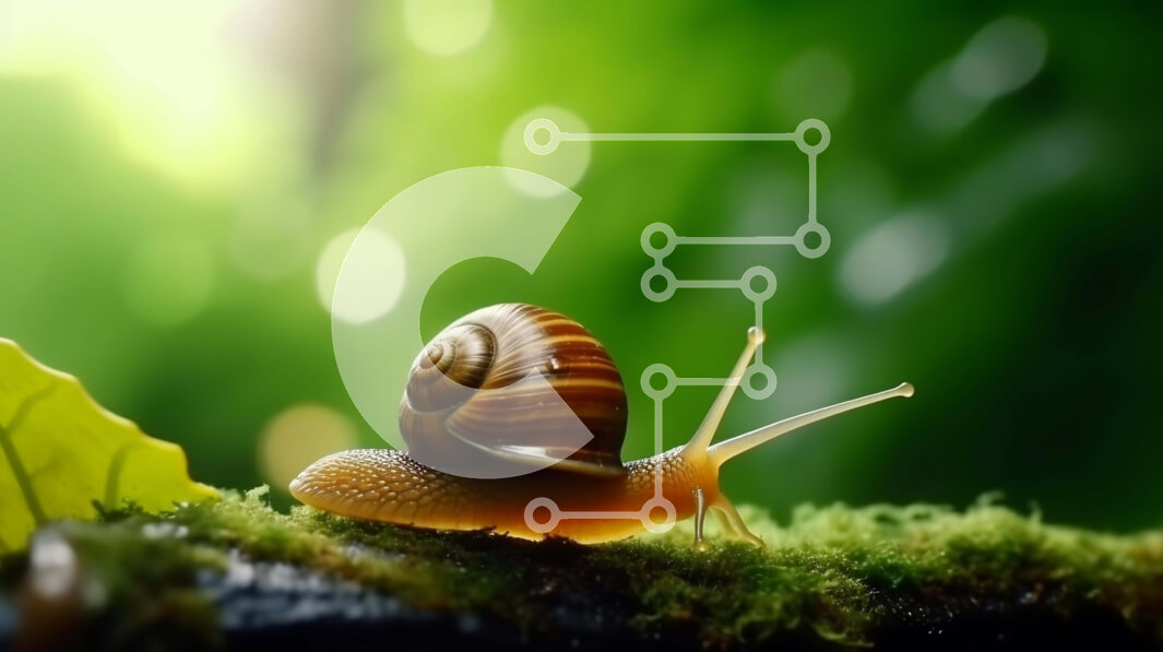 Intra Συλλεκτικό Ξύλινο Παζλ Plywood  4mm - Σαλιγκάρι σε φόντο βρύα και φύλλα Σε Ξύλινο Κουτί - Διαστάσεις: 10x10 cm – 25 κομμάτια