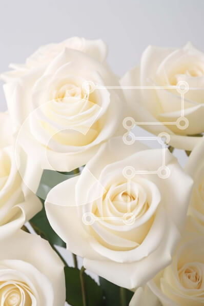 Σετ των 2 Intra Συλλεκτικό Ξύλινο Παζλ Plywood  4mm - Μπουκέτο με λευκά τριαντάφυλλα σε βάζο Σε Ξύλινο Κουτί - Διαστάσεις: 10x10 cm – 25 κομμάτια