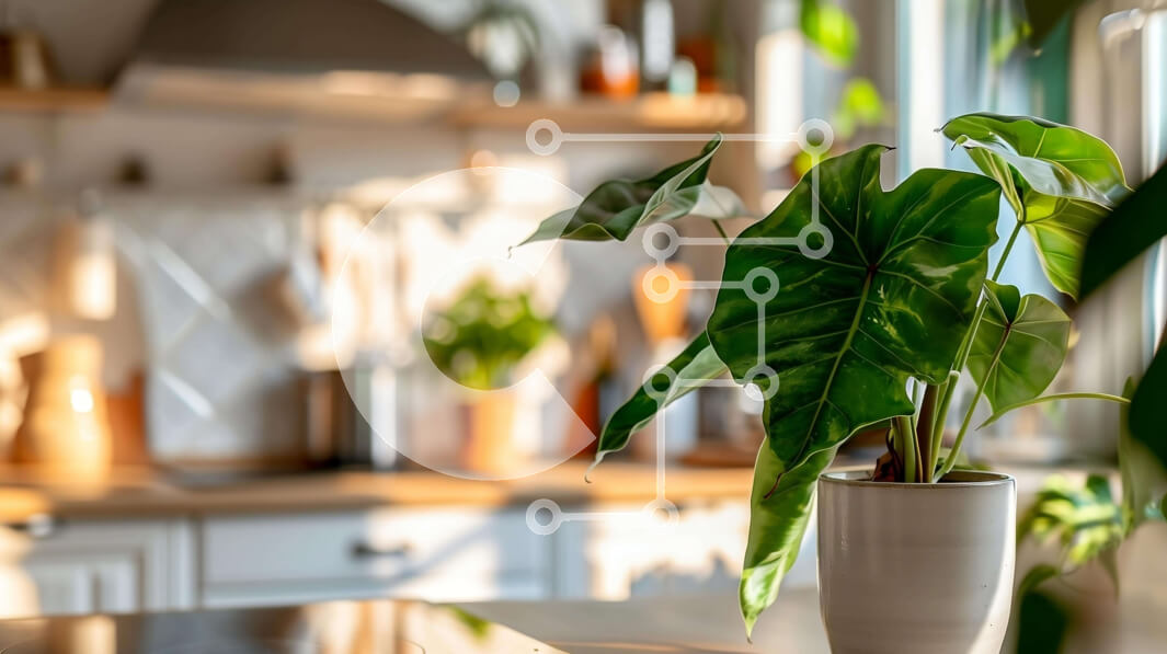 Intra Συλλεκτικό Ξύλινο Παζλ Plywood  4mm - Λευκό φυτό σε γλάστρα σε μια καλά συντηρημένη κουζίνα Σε Ξύλινο Κουτί - Διαστάσεις Puzzle: 10x10 cm – 25 κομμάτια