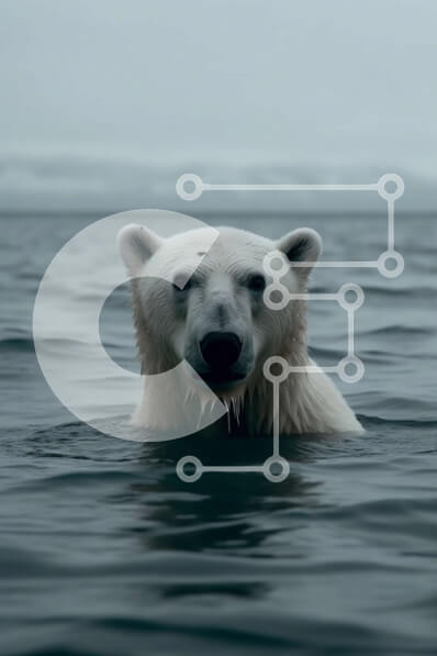 Σετ των 2 Intra Συλλεκτικό Ξύλινο Παζλ Plywood  4mm - Όμορφη εικόνα μιας πολικής αρκούδας που κολυμπά στον ωκεανό Σε Ξύλινο Κουτί - Διαστάσεις: 10x10 cm – 25 κομμάτια