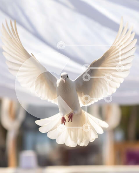 Intra Συλλεκτικό Ξύλινο Παζλ Plywood  4mm - Λευκό Περιστέρι σε πτήση με φτερά ανοιχτά Σε Ξύλινο Κουτί - Διαστάσεις: 10x10 cm – 25 κομμάτια