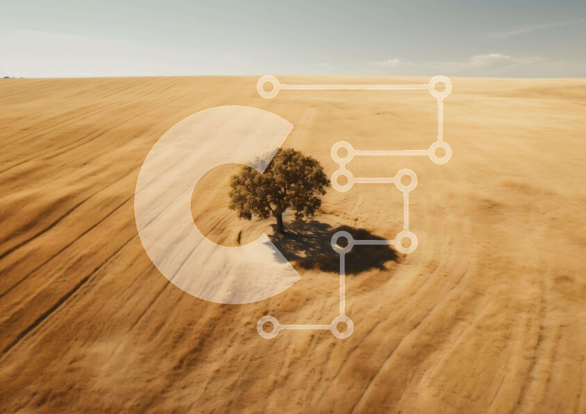 Intra Συλλεκτικό Ξύλινο Παζλ Plywood  4mm - Εναέρια άποψη του μοναχικού δέντρου σε ένα ξηρό πεδίο Σε Ξύλινο Κουτί - Διαστάσεις: 10x10 cm – 25 κομμάτια