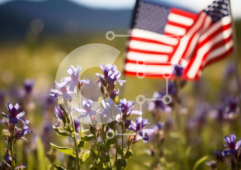 Intra Συλλεκτικό Ξύλινο Παζλ Plywood  4mm - Αμερικανική σημαία σε ένα χωράφι με μοβ λουλούδια με βουνά στο φόντο Σε Ξύλινο Κουτί - Διαστάσεις: 10x10 cm – 25 κομμάτια