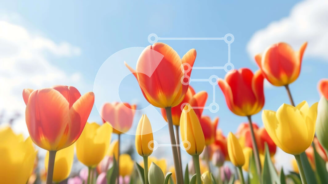 Intra Συλλεκτικό Ξύλινο Παζλ Plywood  4mm - Πεδίο με ανθισμένες κόκκινες και κίτρινες τουλίπες με λαμπερό ήλιο Σε Ξύλινο Κουτί - Διαστάσεις: 10x10 cm – 25 κομμάτια