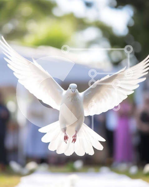 Intra Συλλεκτικό Ξύλινο Παζλ Plywood  4mm - Λευκό Περιστέρι σε πτήση σε μια γιορτή Σε Ξύλινο Κουτί - Διαστάσεις: 10x10 cm – 25 κομμάτια