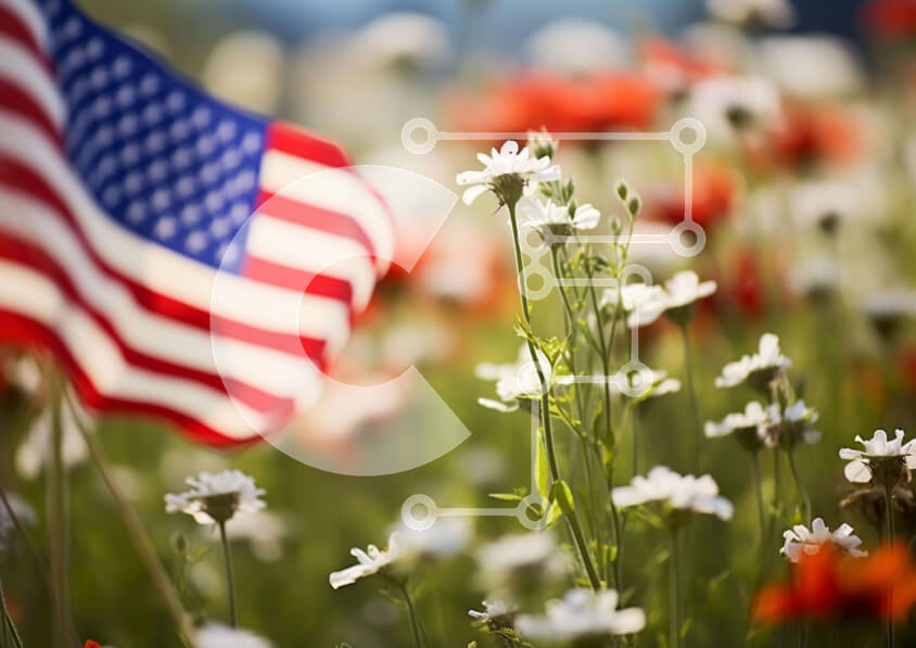 Intra Συλλεκτικό Ξύλινο Παζλ Plywood  4mm - Αμερικανική σημαία στο πεδίο των λουλουδιών για τους εορτασμούς της 4ης Ιουλίου Σε Ξύλινο Κουτί - Διαστάσεις: 10x10 cm – 25 κομμάτια