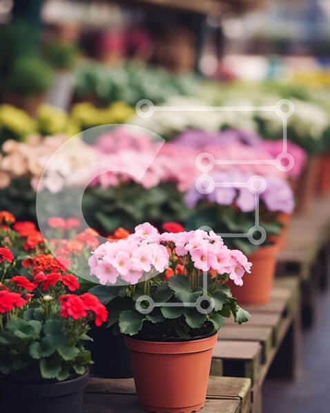 Intra Συλλεκτικό Ξύλινο Παζλ Plywood  4mm - Πολύχρωμα λουλούδια σε γλάστρες στην υπαίθρια αγορά Σε Ξύλινο Κουτί - Διαστάσεις: 10x10 cm – 25 κομμάτια