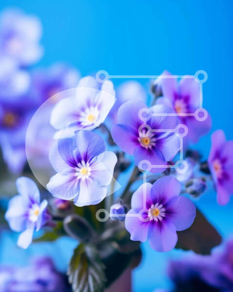 Intra Συλλεκτικό Ξύλινο Παζλ Plywood  4mm - Βάζο με μπλε λουλούδια Σε Ξύλινο Κουτί - Διαστάσεις: 10x10 cm – 25 κομμάτια