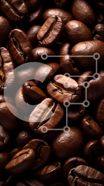 Intra Συλλεκτικό Ξύλινο Παζλ Plywood  4mm - Σκούρα καβουρδισμένοι κόκκοι καφέ σε μαύρο και άσπρο Σε Ξύλινο Κουτί - Διαστάσεις: 10x10 cm – 25 κομμάτια