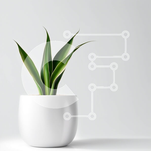 Intra Συλλεκτικό Ξύλινο Παζλ Plywood  4mm - Κομψή λευκή κεραμική γλάστρα με πράσινο φυτό φιδιού Σε Ξύλινο Κουτί - Διαστάσεις: 10x10 cm – 25 κομμάτια