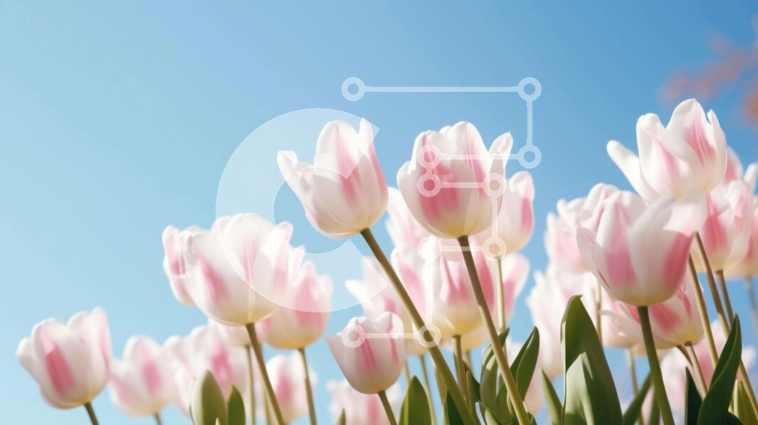 Intra Συλλεκτικό Ξύλινο Παζλ Plywood  4mm - Ζωντανά λουλούδια τουλίπας που ανθίζουν στο φως του ήλιου Σε Ξύλινο Κουτί - Διαστάσεις: 10x10 cm – 25 κομμάτια