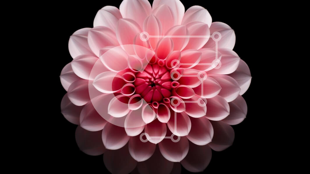 Intra Συλλεκτικό Ξύλινο Παζλ Plywood  4mm - Ροζ λουλούδι που επιπλέει στον αέρα σε μαύρο φόντο Σε Ξύλινο Κουτί - Διαστάσεις: 10x10 cm – 25 κομμάτια