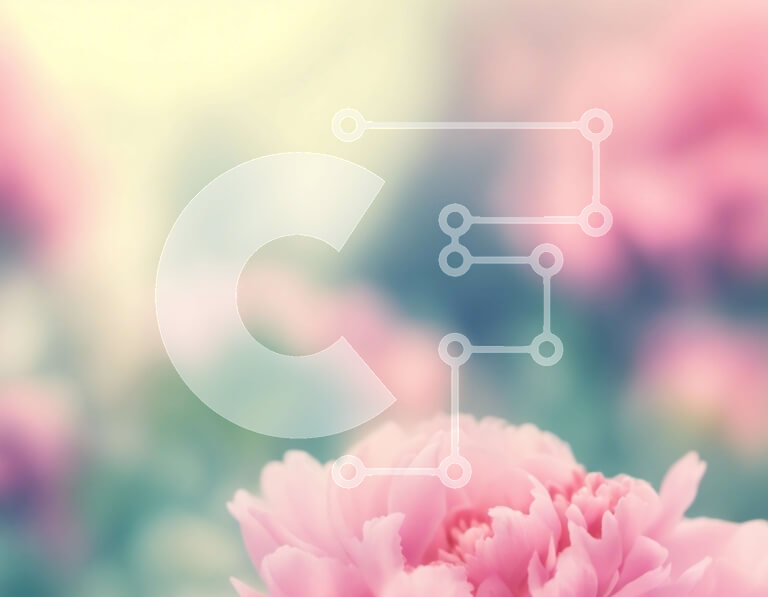 Intra Συλλεκτικό Ξύλινο Παζλ Plywood  4mm - Κοντινό πλάνο ενός ροζ λουλουδιού σε πλήρη άνθιση Σε Ξύλινο Κουτί - Διαστάσεις: 10x10 cm – 25 κομμάτια