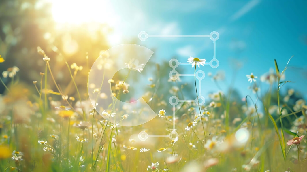 Intra Συλλεκτικό Ξύλινο Παζλ Plywood  4mm - Όμορφο λιβάδι με μαργαρίτες και ηλιοτρόπια Σε Ξύλινο Κουτί - Διαστάσεις: 10x10 cm – 25 κομμάτια