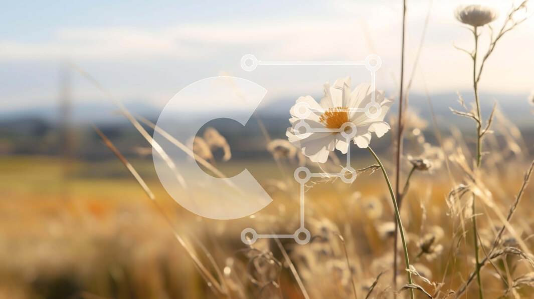 Intra Συλλεκτικό Ξύλινο Παζλ Plywood  4mm - Λευκό λουλούδι μαργαρίτας σε ανοιχτό χωράφι με λόφους και βουνά Σε Ξύλινο Κουτί - Διαστάσεις: 10x10 cm – 25 κομμάτια