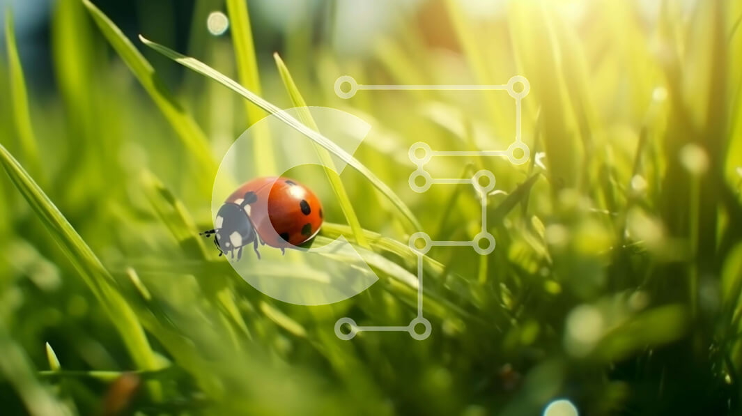 Intra Συλλεκτικό Ξύλινο Παζλ Plywood  4mm - Πασχαλίτσα στο γρασίδι στο φως του ήλιου Σε Ξύλινο Κουτί - Διαστάσεις: 10x10 cm – 25 κομμάτια