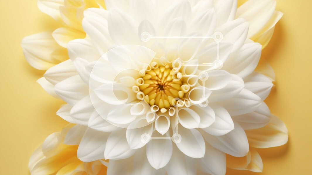 Intra Συλλεκτικό Ξύλινο Παζλ Plywood  4mm - Κοντινό πλάνο ενός λευκού και κίτρινου λουλουδιού μαργαρίτας σε πορτοκαλί φόντο Σε Ξύλινο Κουτί - Διαστάσεις: 10x10 cm – 25 κομμάτια