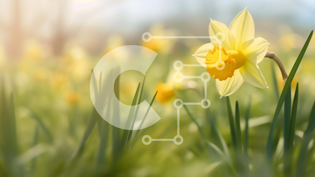 Intra Συλλεκτικό Ξύλινο Παζλ Plywood  4mm - Κίτρινο νάρκισσοι στο χορτάρι Σε Ξύλινο Κουτί - Διαστάσεις: 10x10 cm – 25 κομμάτια