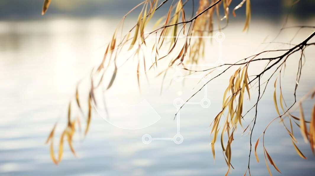 Intra Συλλεκτικό Ξύλινο Παζλ Plywood  4mm - Κλαδί δέντρου με καφέ φύλλα μπροστά από το νερό Σε Ξύλινο Κουτί - Διαστάσεις: 10x10 cm – 25 κομμάτια