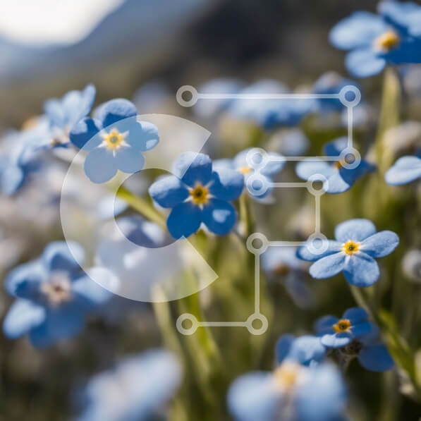 Intra Συλλεκτικό Ξύλινο Παζλ Plywood  4mm - Πεδίο με μπλε λουλούδια με κίτρινα κέντρα σε ένα πράσινο λιβάδι Σε Ξύλινο Κουτί - Διαστάσεις: 10x10 cm – 25 κομμάτια