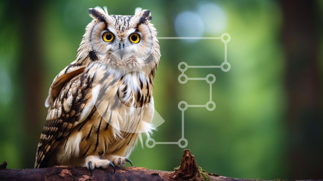 Σετ των 2 Intra Συλλεκτικό Ξύλινο Παζλ Plywood  4mm - Κουκουβάγια που κάθεται στο κλαδί στο δάσος Σε Ξύλινο Κουτί - Διαστάσεις: 10x10 cm – 25 κομμάτια