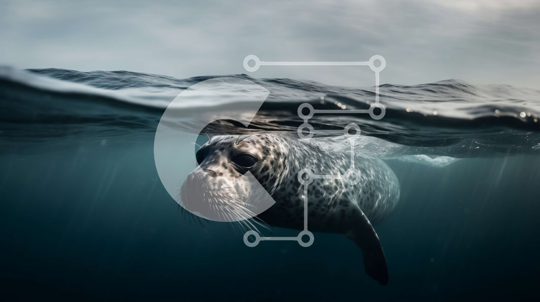 Intra Συλλεκτικό Ξύλινο Παζλ Plywood  4mm - Όμορφη εικόνα μιας γκρίζας φώκιας που κολυμπά στον ωκεανό Σε Ξύλινο Κουτί - Διαστάσεις: 10x10 cm – 25 κομμάτια